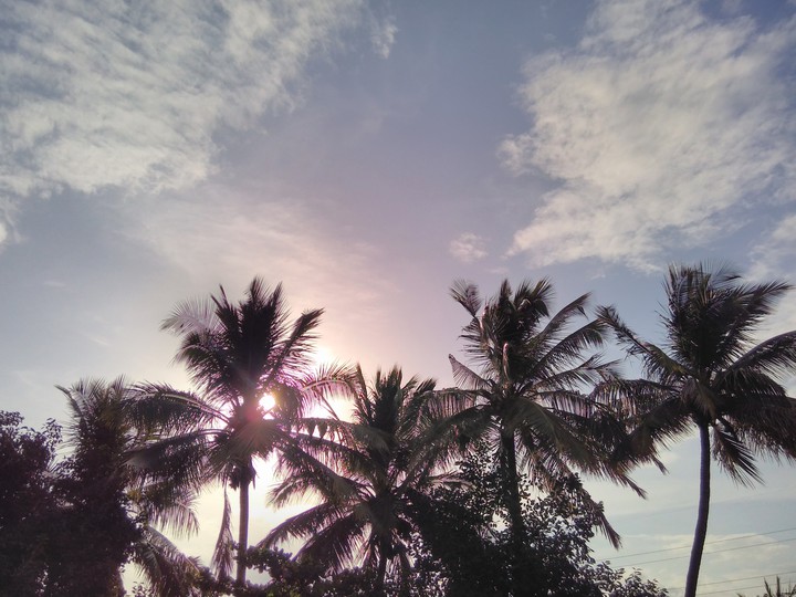 Nature