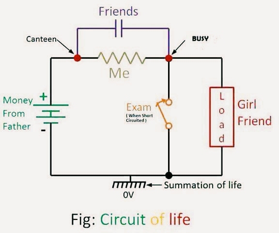 Life theory through electrical circuit
