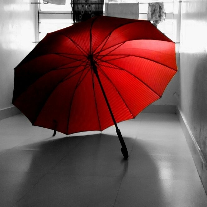 umbrella