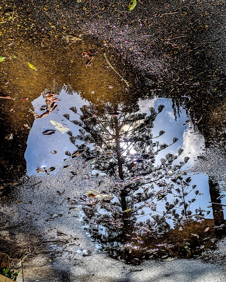 reflection