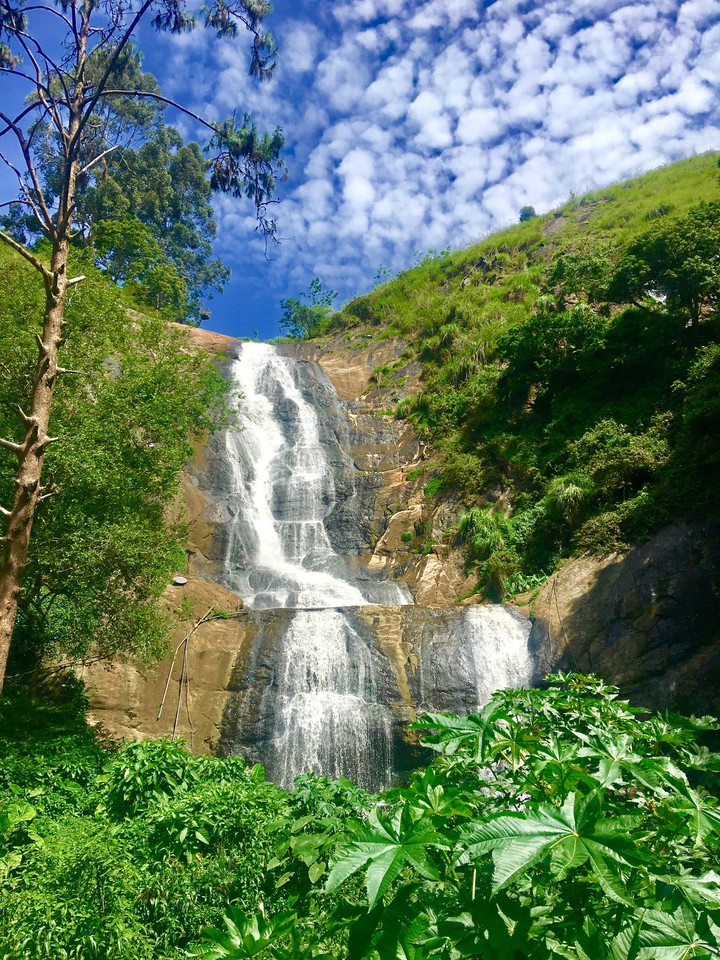 Falls