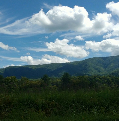 God's Creation
