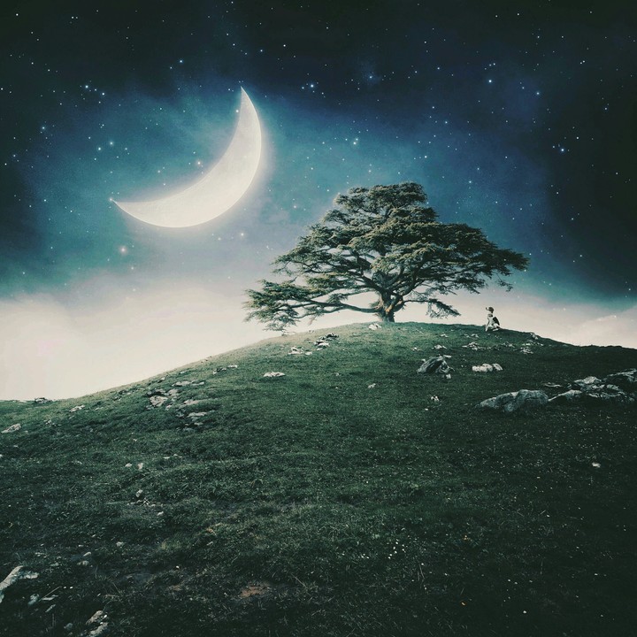 Moon