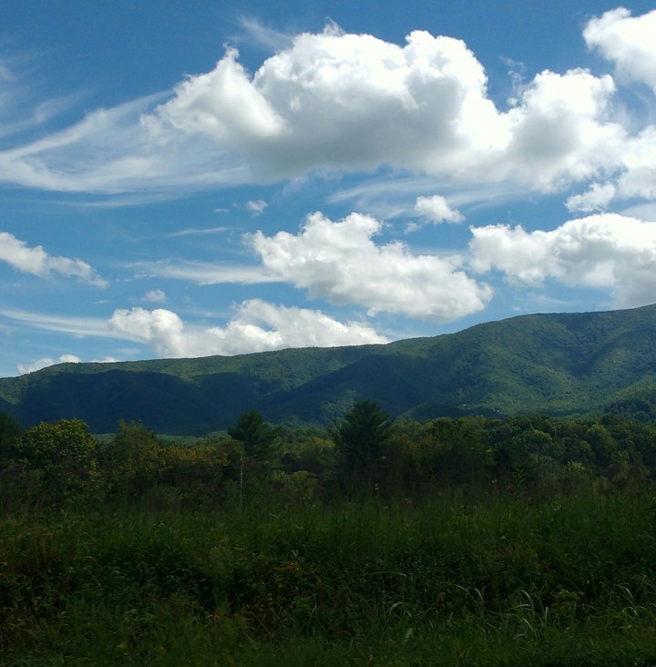 God's Creation