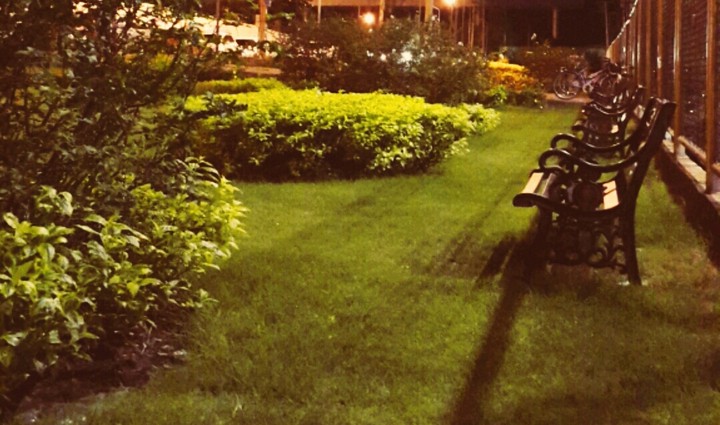 Do you need someone to sit with you?