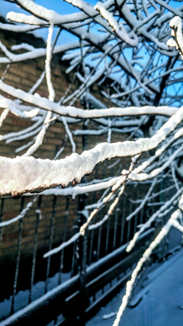 winter