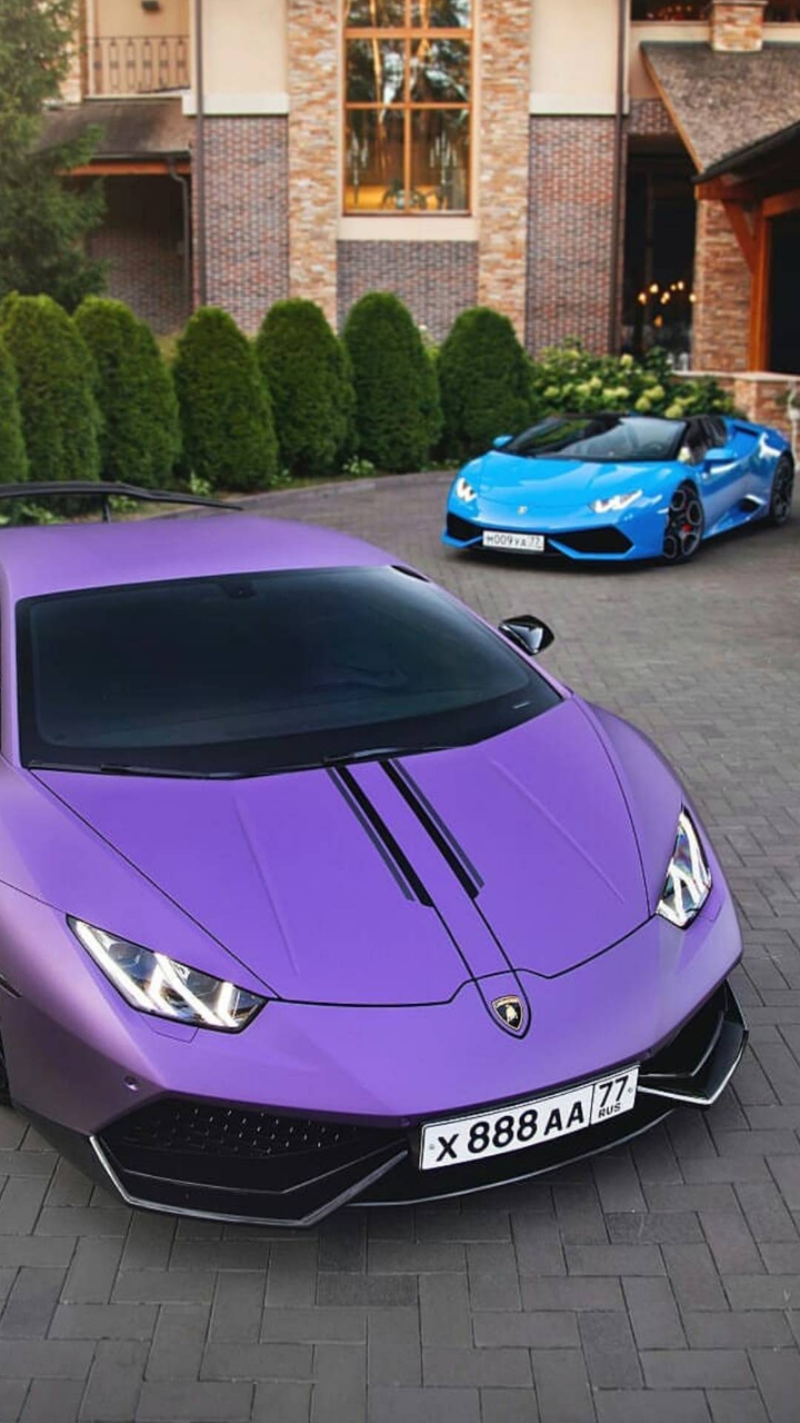 Purple & Blue