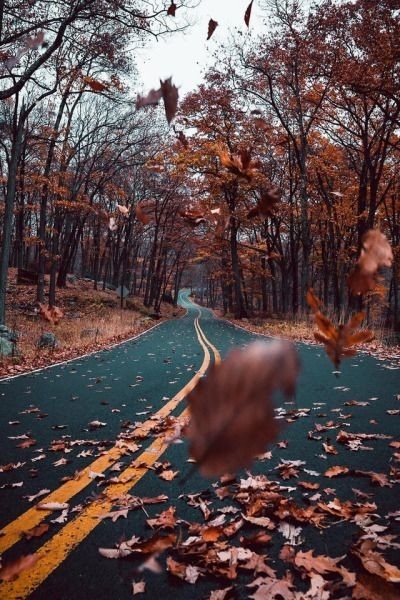 bir yol hikayesi