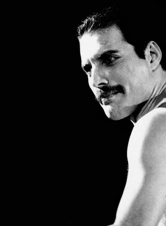 Freddie Mercury
