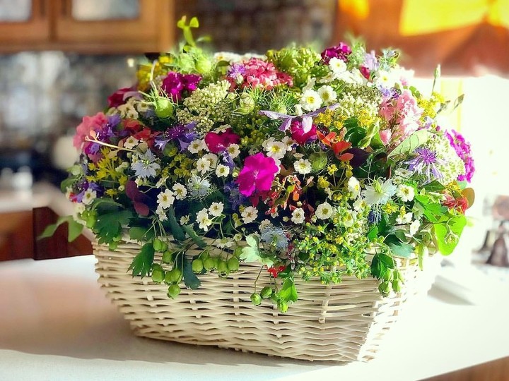 flower