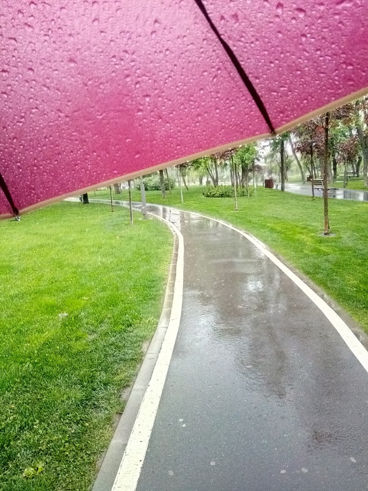 i love a rainy day