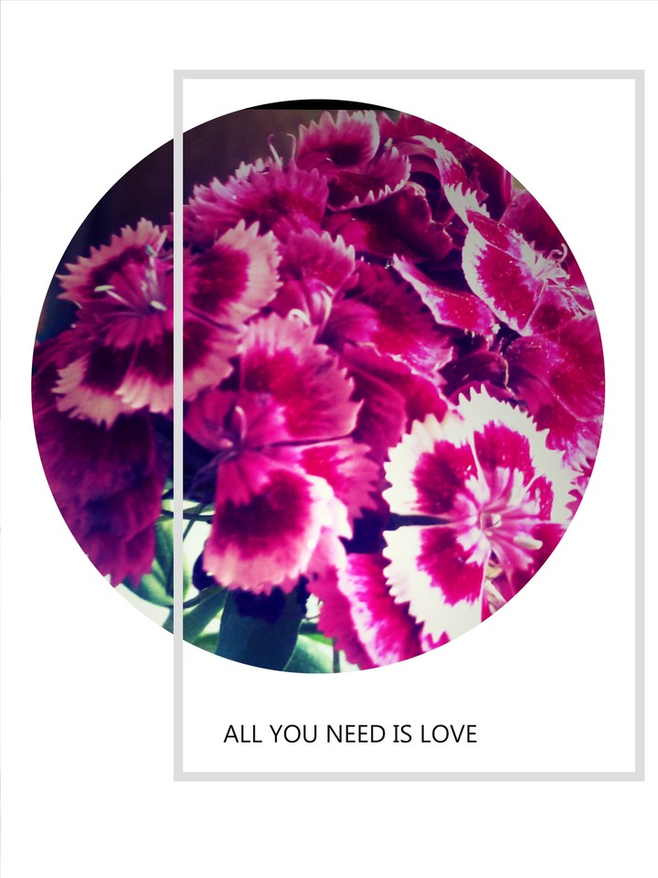 My boyfrend present me this flovers