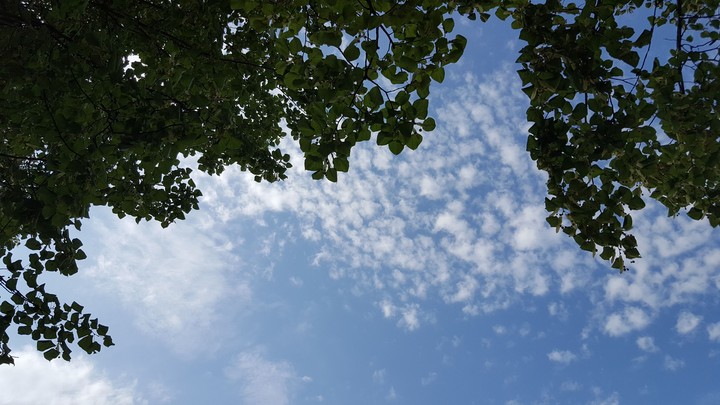 sky