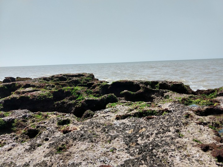 Seacoast