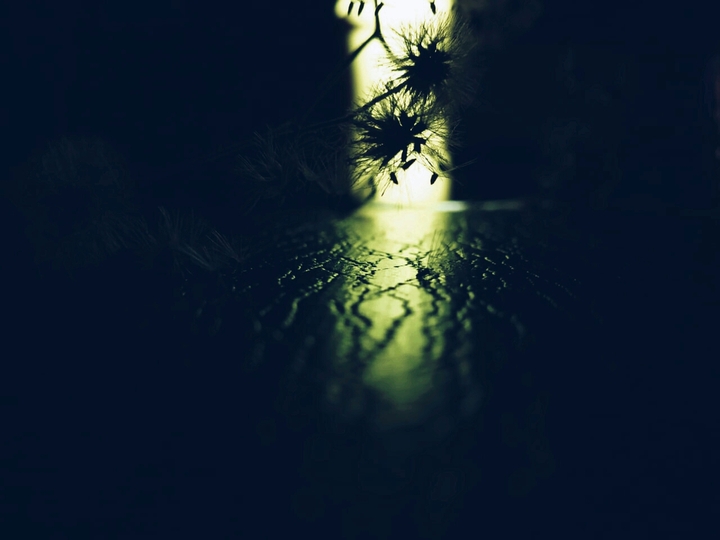 Dark