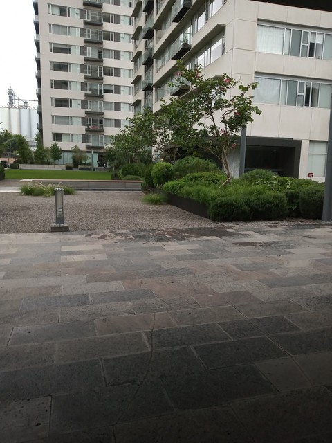 Polanco, CD de México, lugar que me gustó??