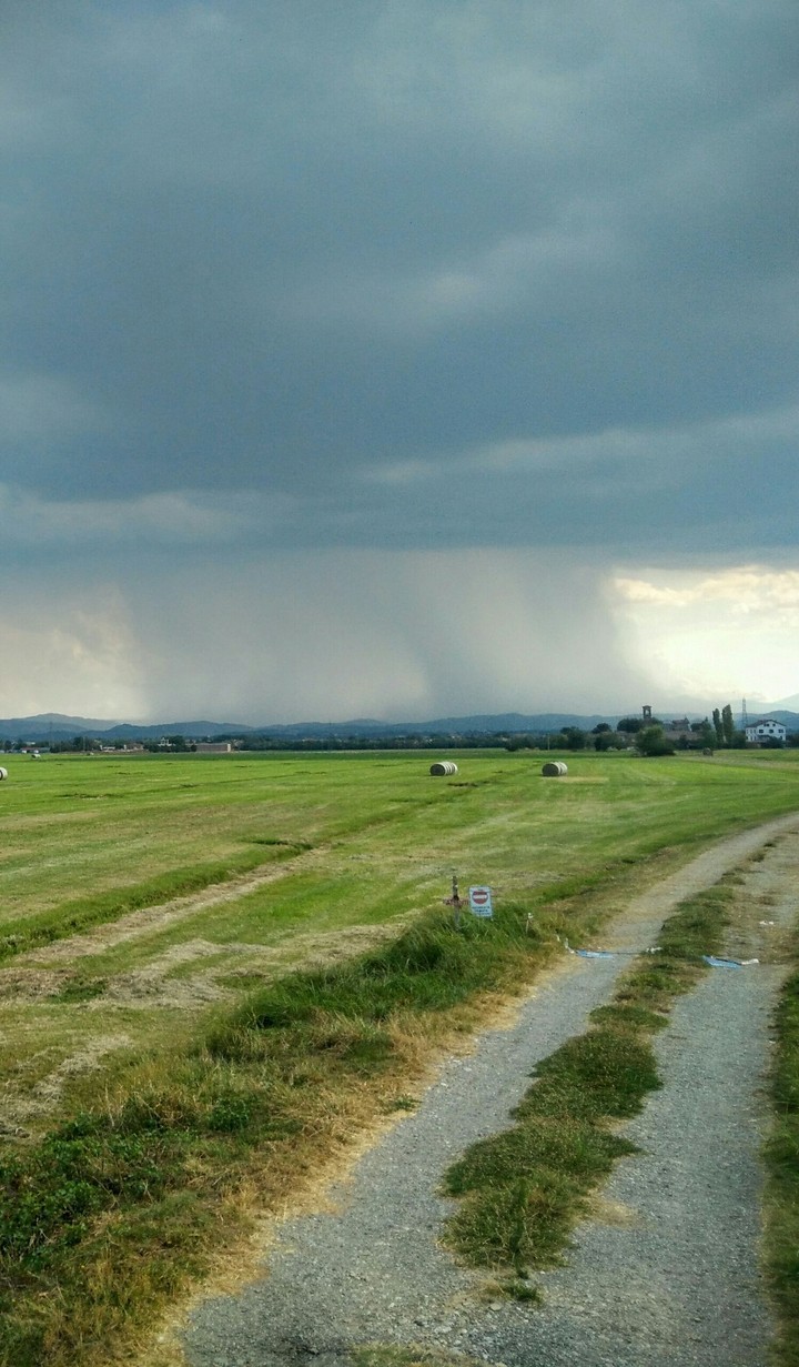 Rain