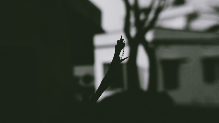 Silent