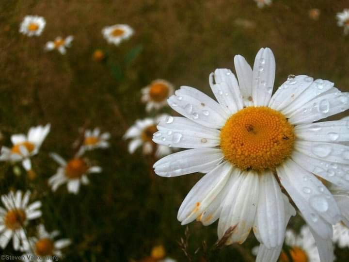 ღ✿◠‿◠✿ღ
