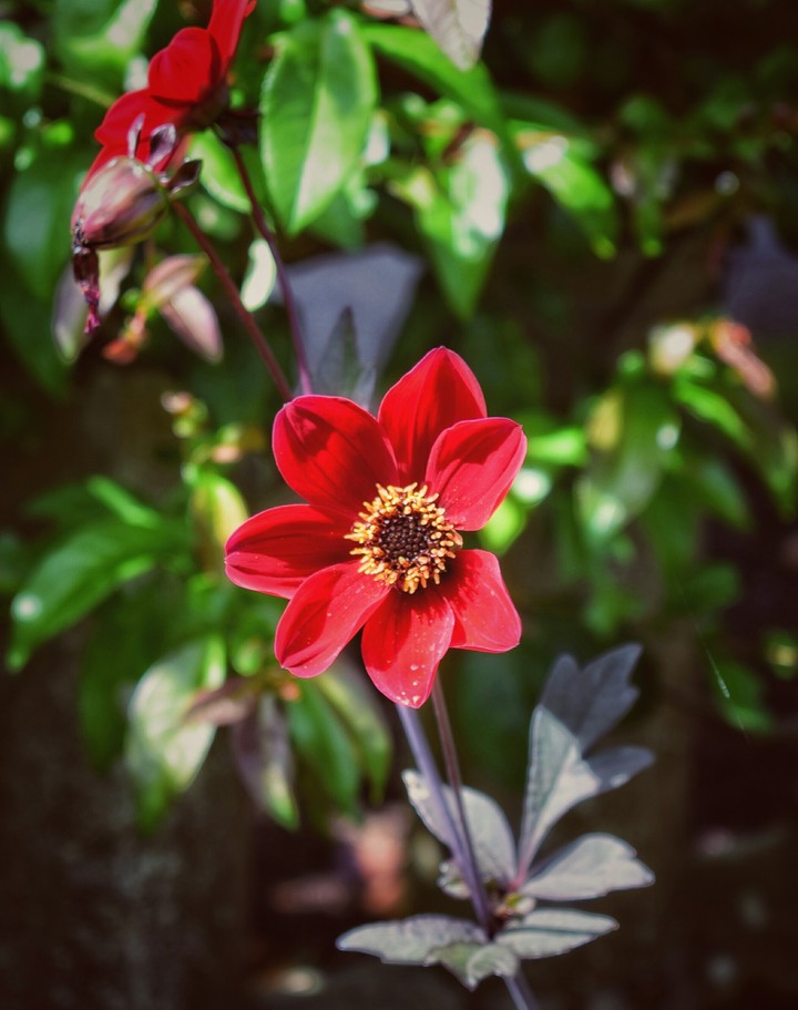 Subtle Beauty!