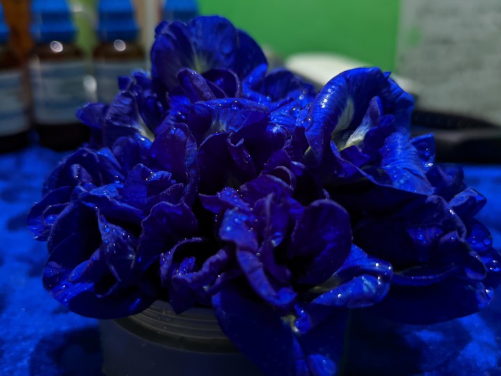 purple
