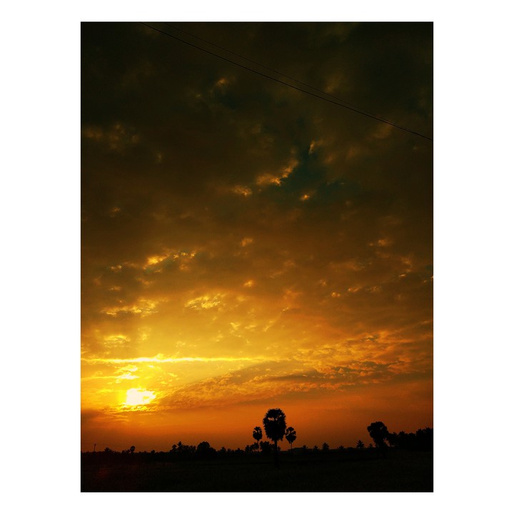 sunset