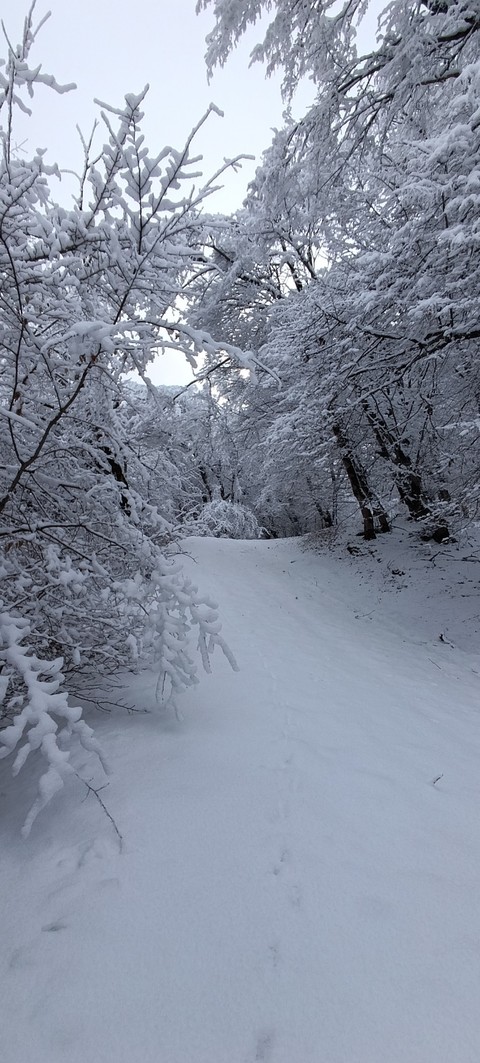 тапети grey, winter