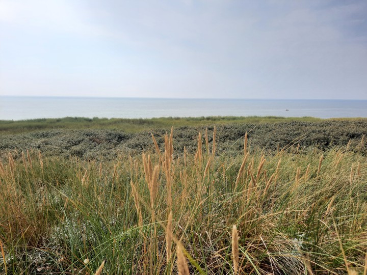 North Sea - The Netherlands