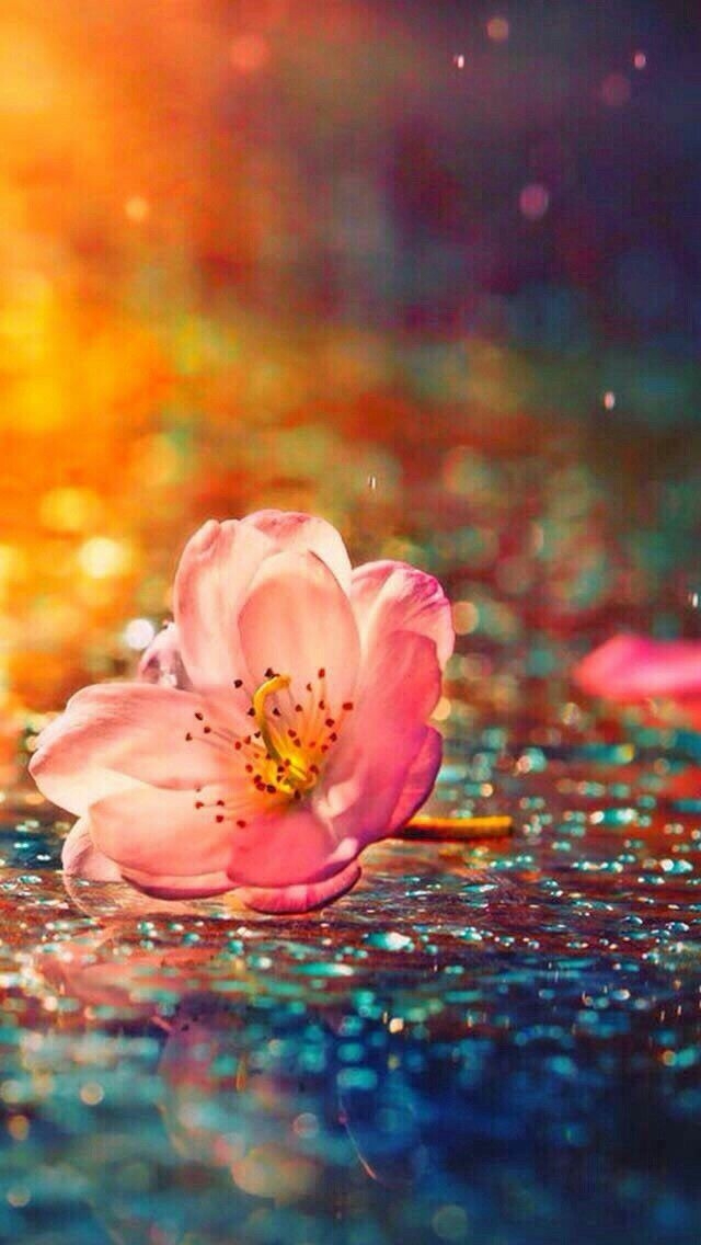 fiori
