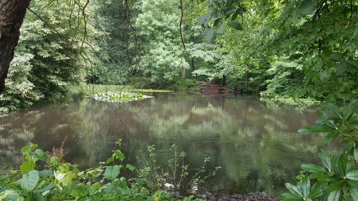 Natur
