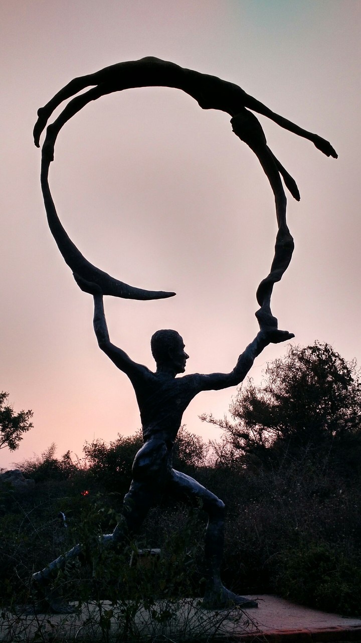 Silhouette Effect