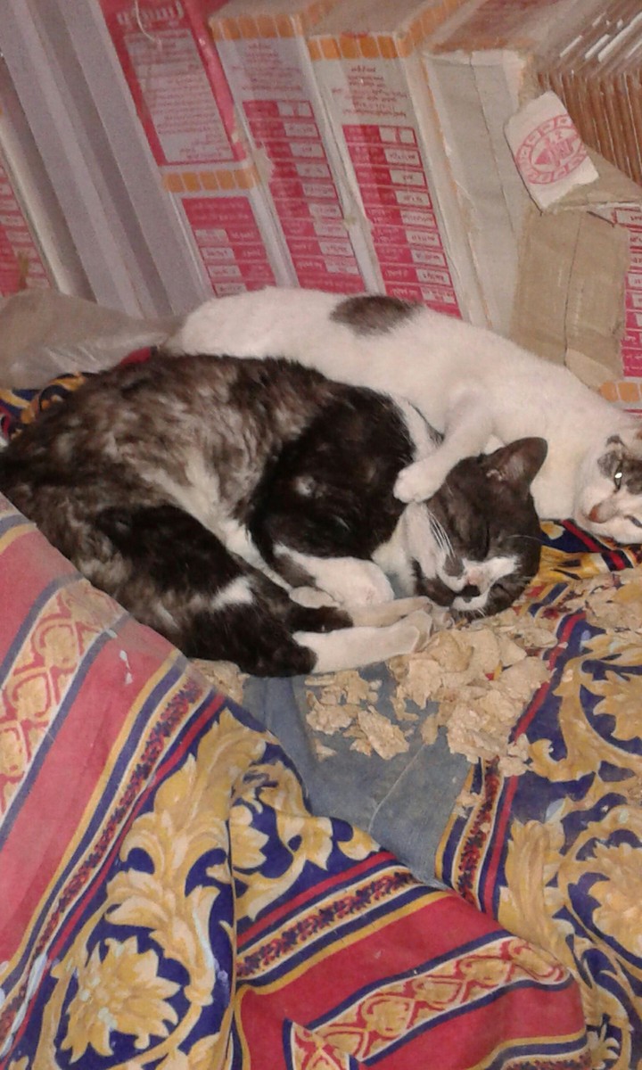 Love