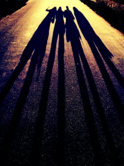 shadow of 4 frndzz