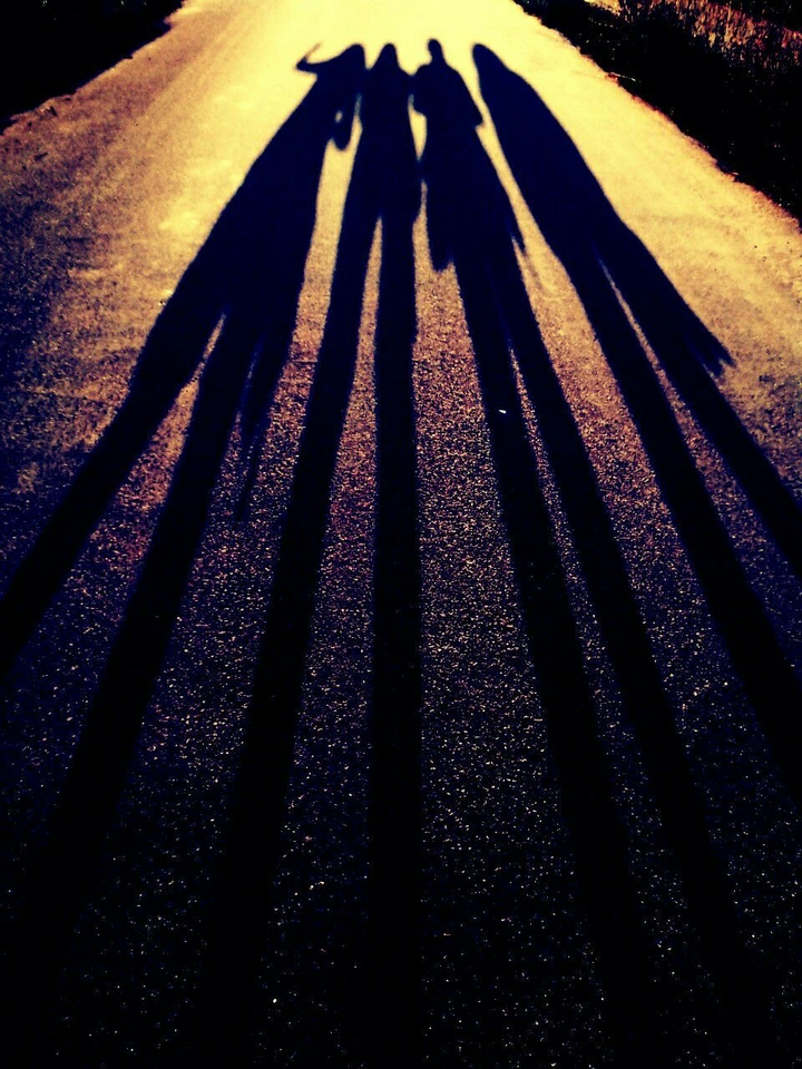 shadow of 4 frndzz
