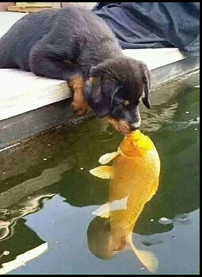 ?