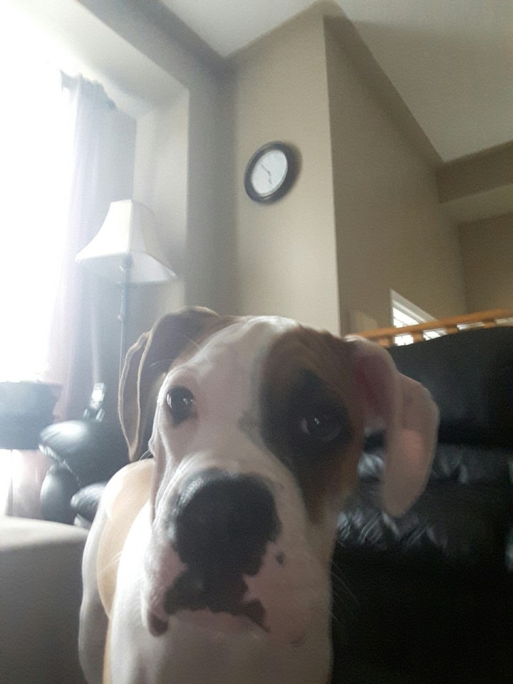 so cute!