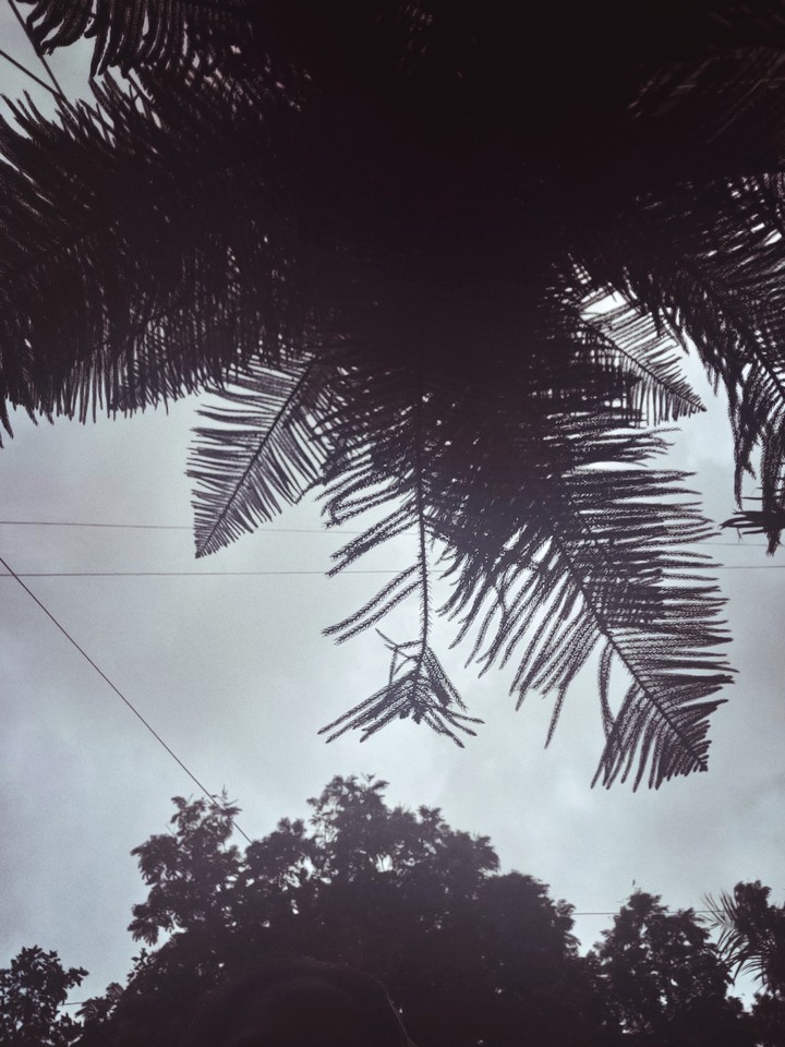 sky in raining days