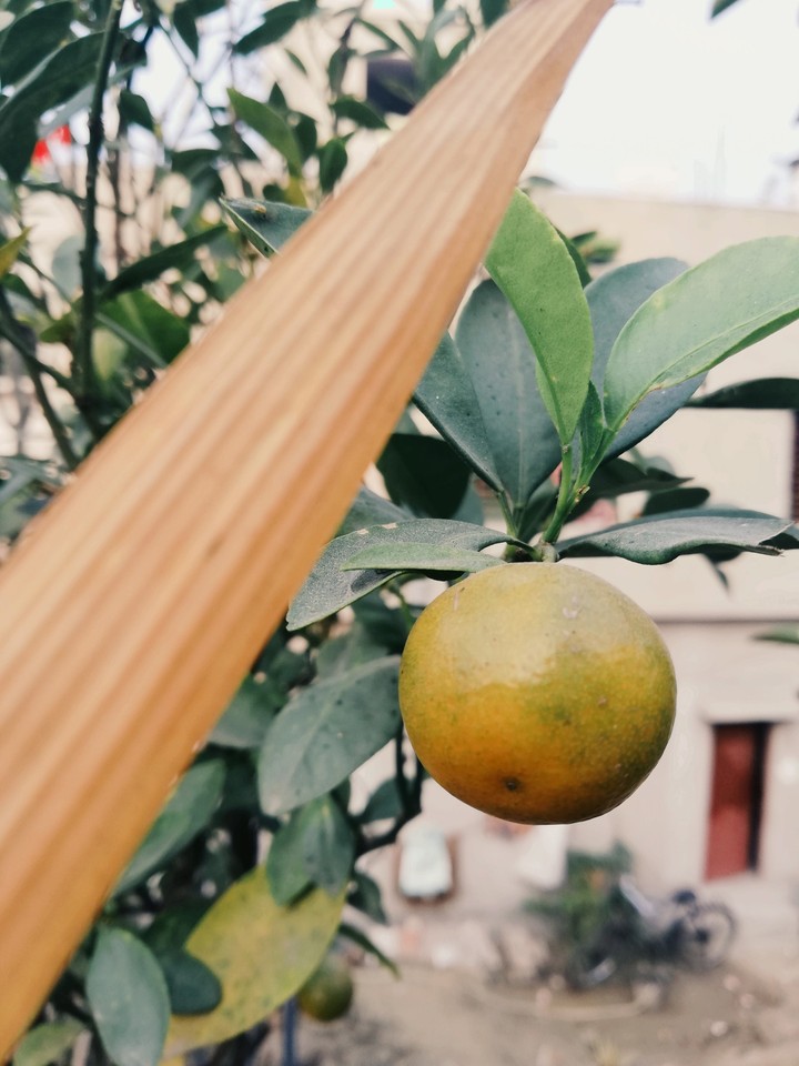 one#orange#