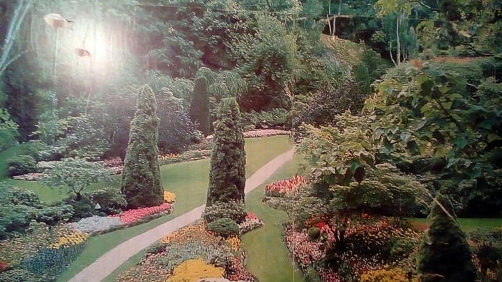 Magic nature