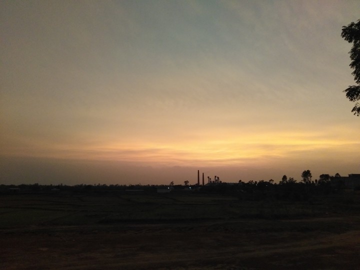 beautiful nature