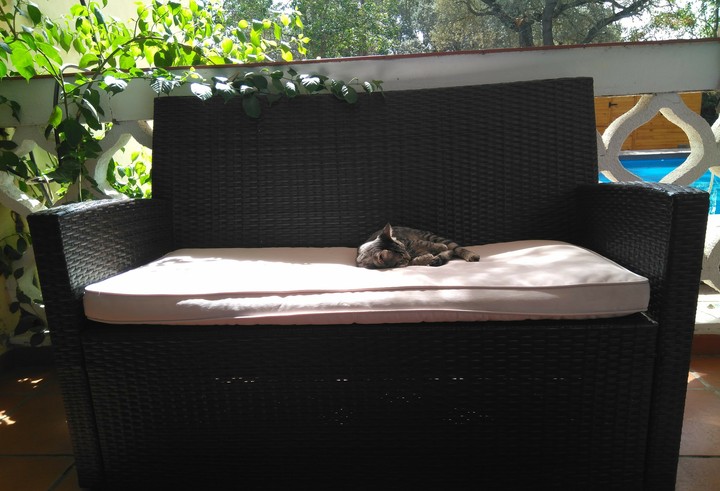 Tranquilidad