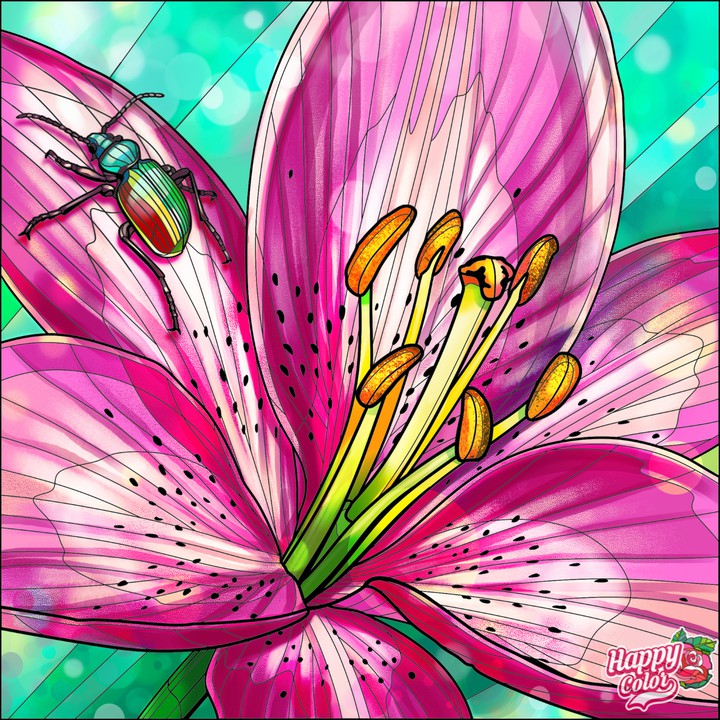 Flores