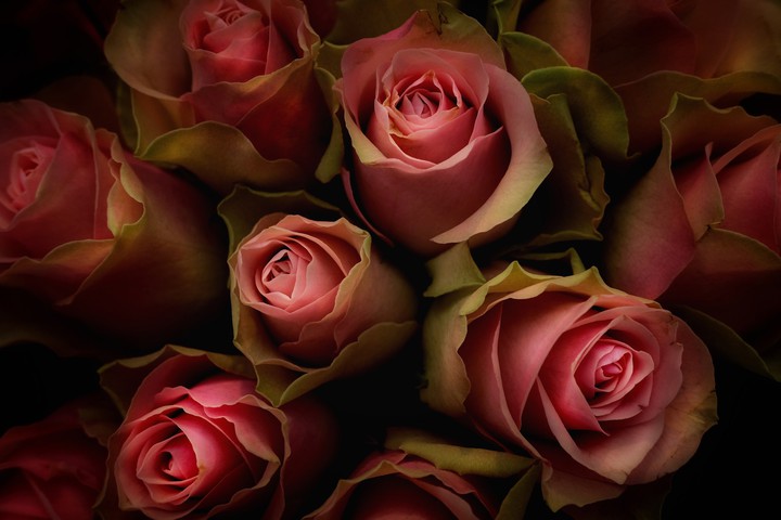 for you