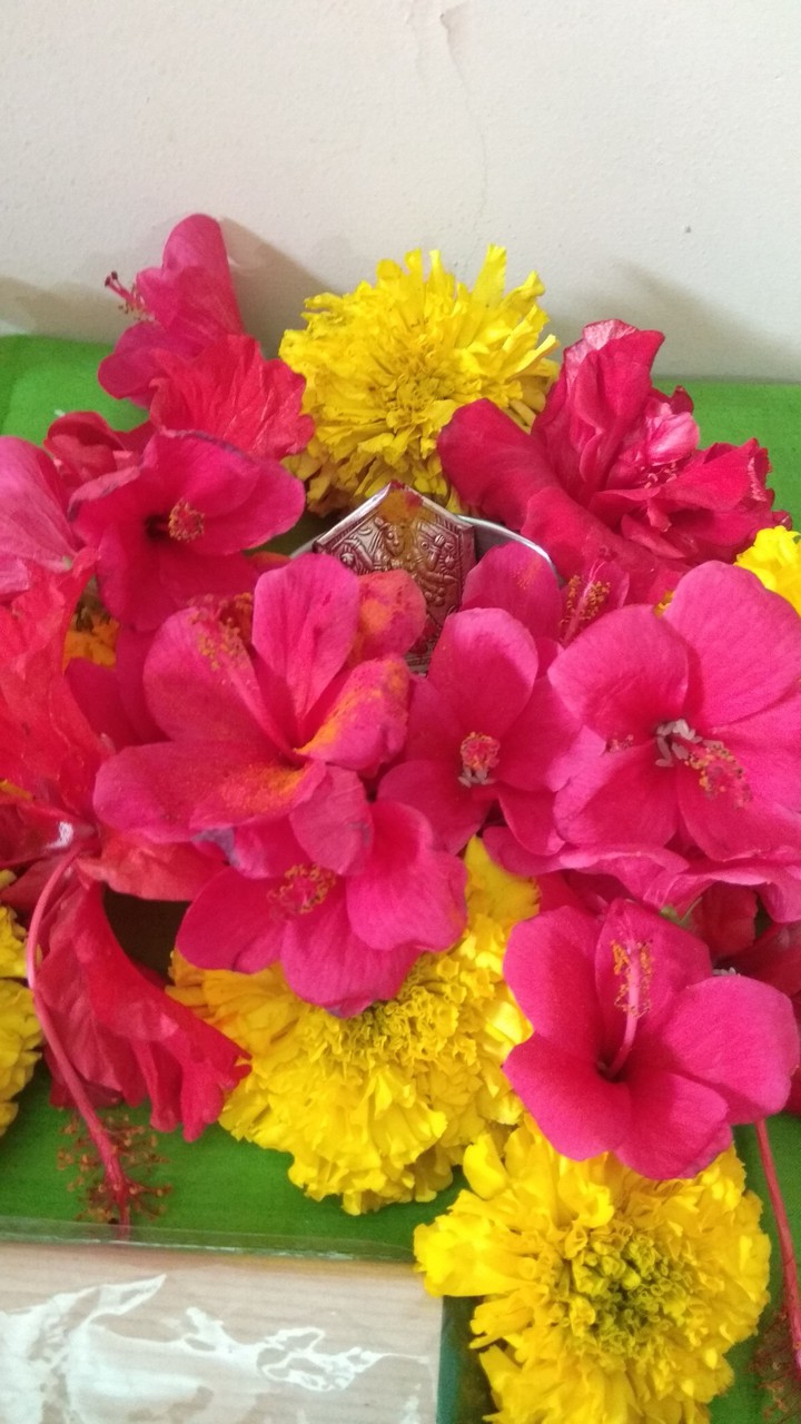 Kali maa
