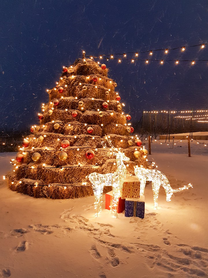 Christmas time