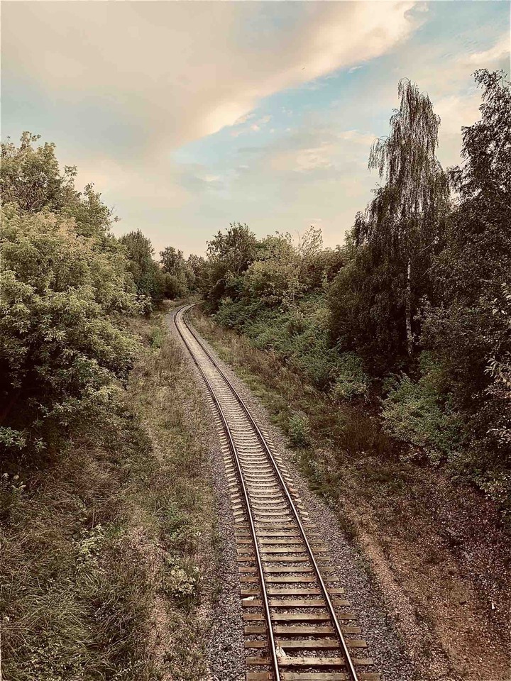 Railway in the forest