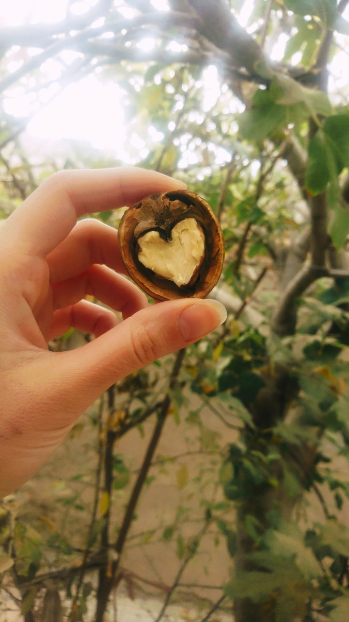 loving you