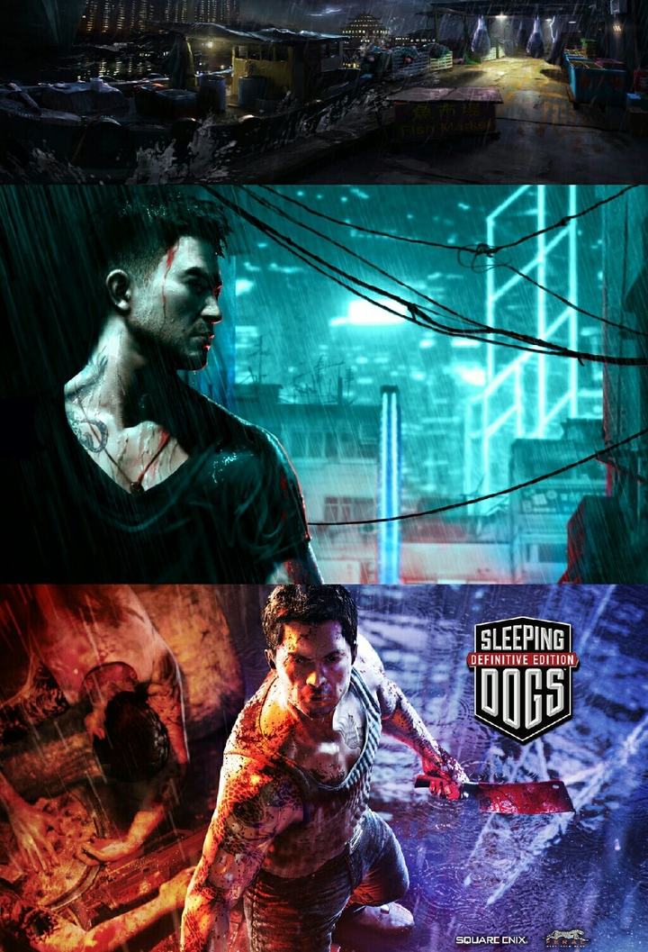 Sleeping Dogs