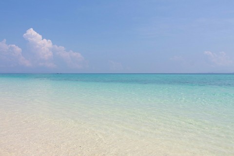 sea