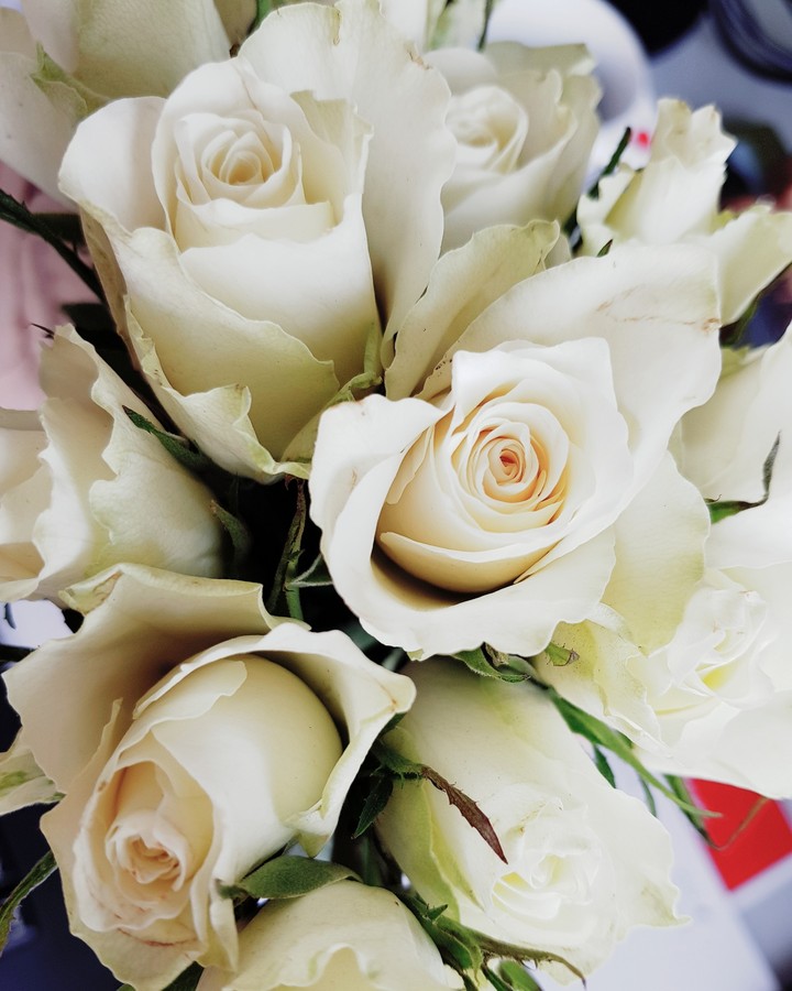 white roses